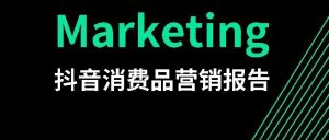 2023抖音消费品营销报告-牛刀盒子